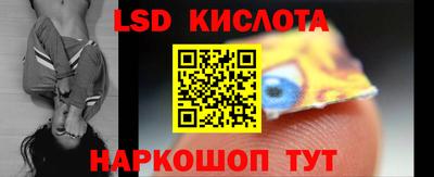 шишки Аргун
