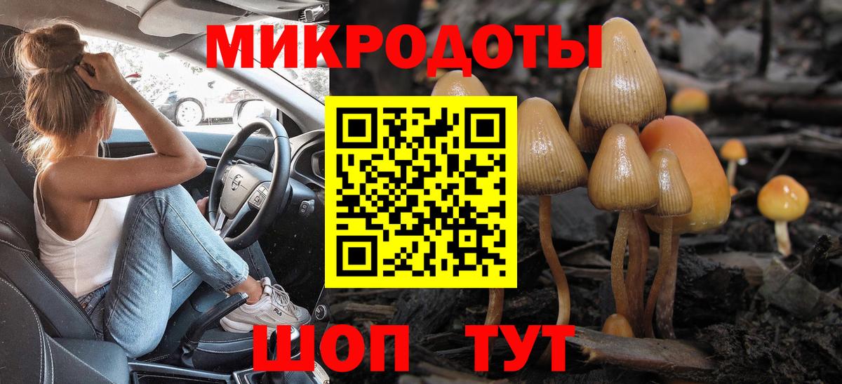 Галлюциногенные грибы MAGIC MUSHROOMS  Вход с VPN  Верхний Уфалей 